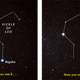 Illustration for article titled Now you see it, now you dont! Asteroid occults Regulus